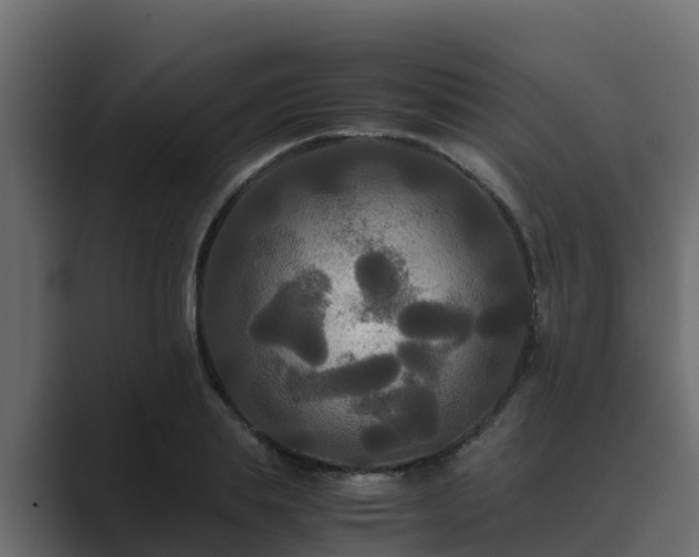 X0000089670839200706281338