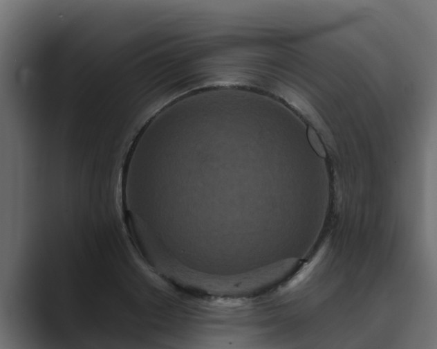 X0000089670842200706281338