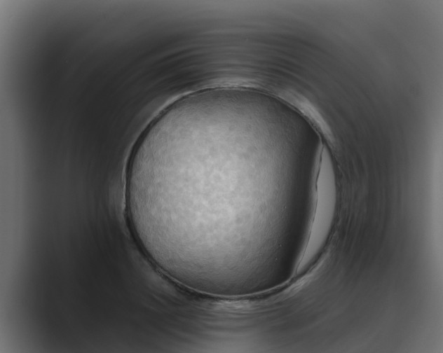 X0000089670844200706281338