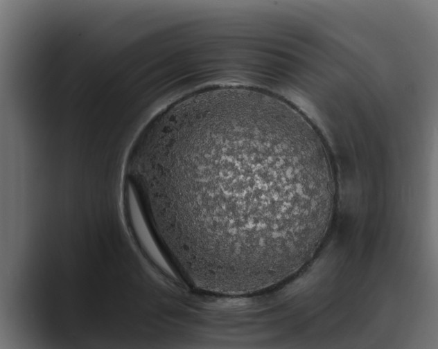 X0000089670845200706281338