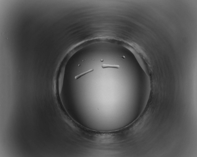 X0000089670846200706281338