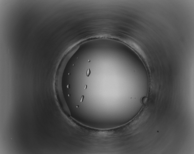 X0000089670847200706281338