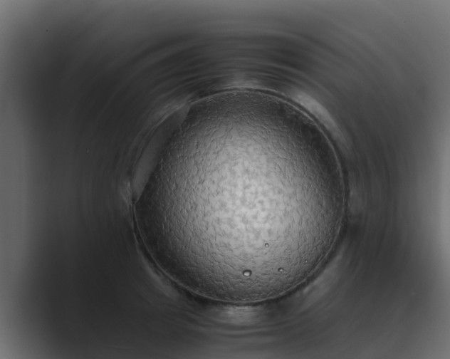 X0000089670849200706281338