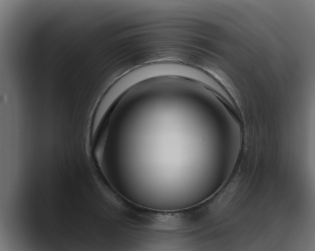 X0000089670850200706281338