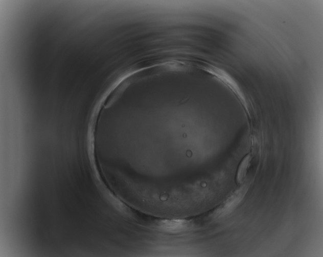 X0000089670859200706281338