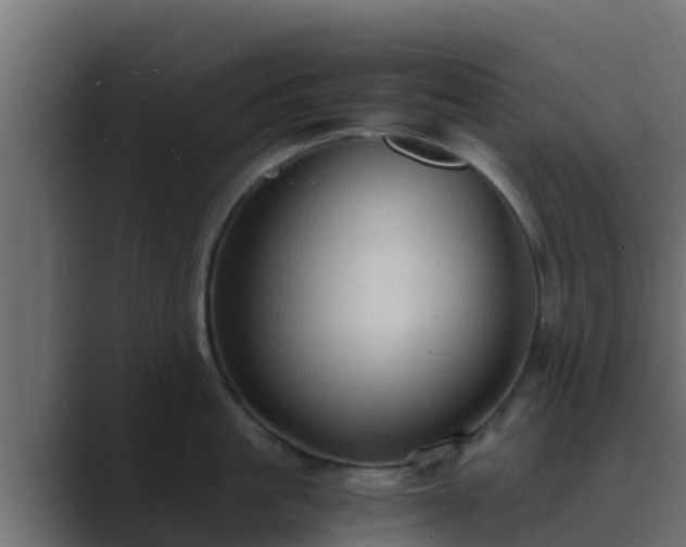 X0000089670861200706281338