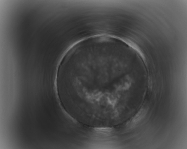 X0000089670863200706281338