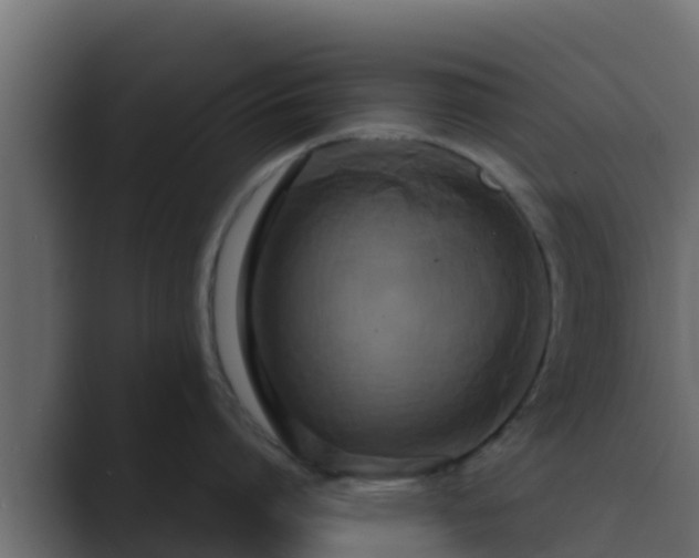 X0000089670864200706281338
