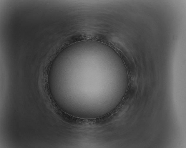 X0000089670865200706281338