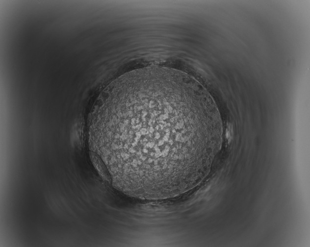 X0000089670867200706281338