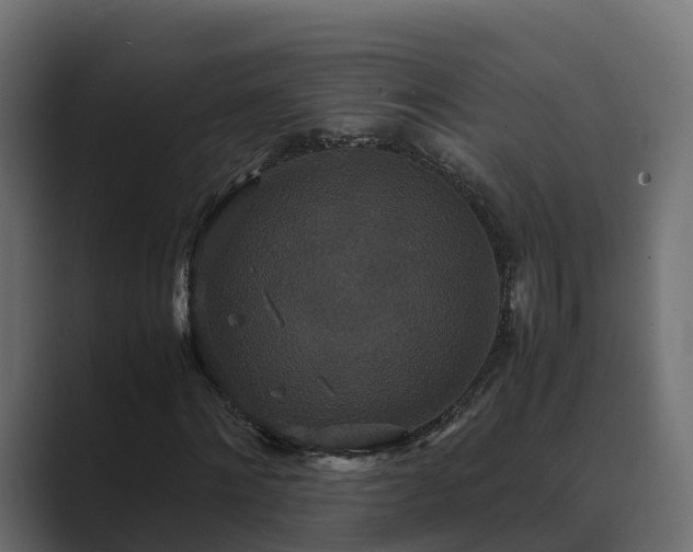 X0000089670868200706281337