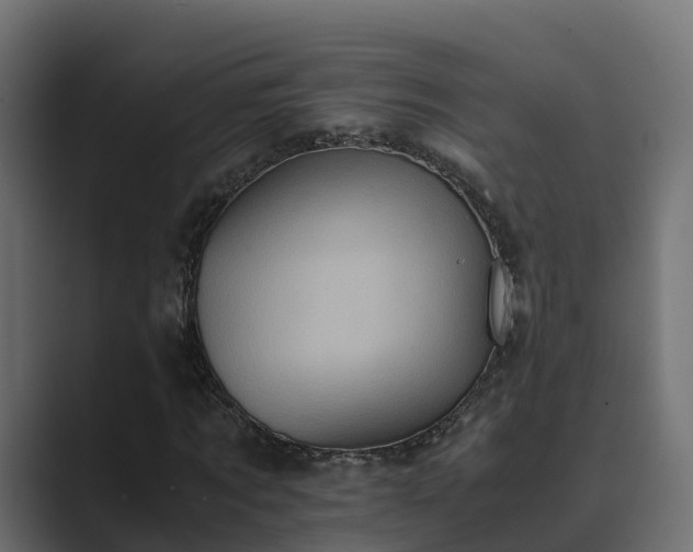 X0000089670869200706281337