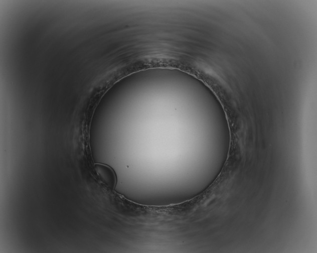 X0000089670870200706281337