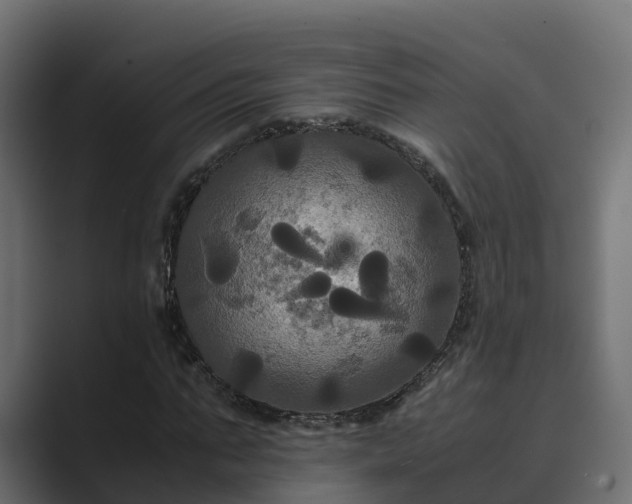 X0000089670871200706281337