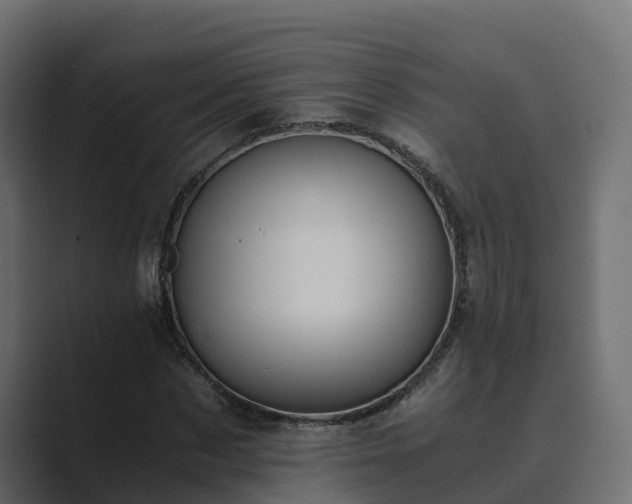 X0000089670873200706281337