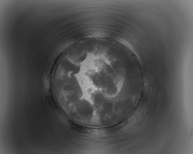 X0000089670874200706281337