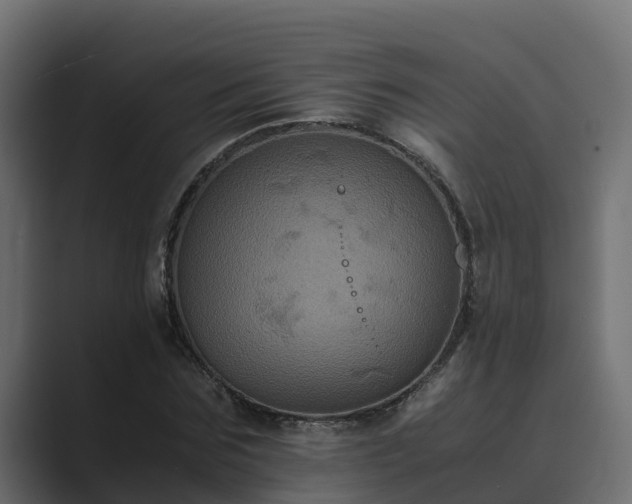X0000089670875200706281337