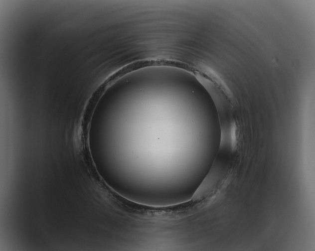 X0000089670876200706281337