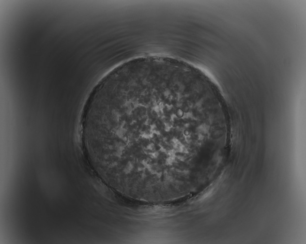 X0000089670879200706281337