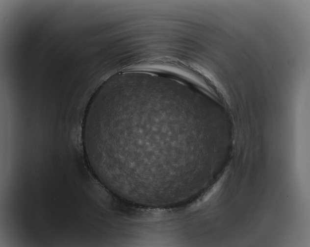 X0000089670881200706281337