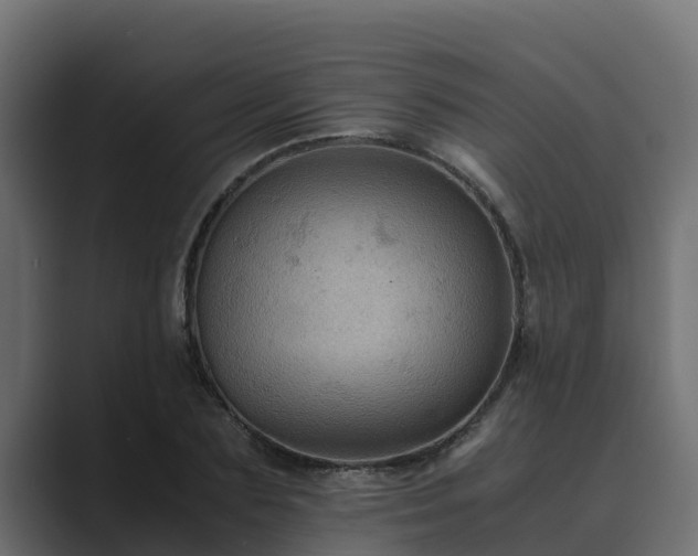 X0000089670883200706281337