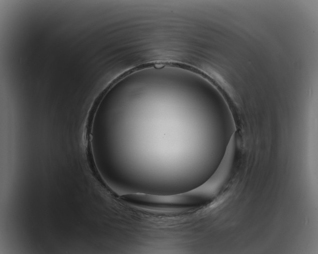 X0000089670885200706281337