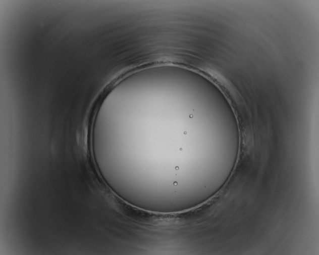 X0000089670886200706281337