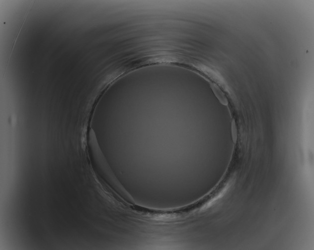 X0000089670889200706281337