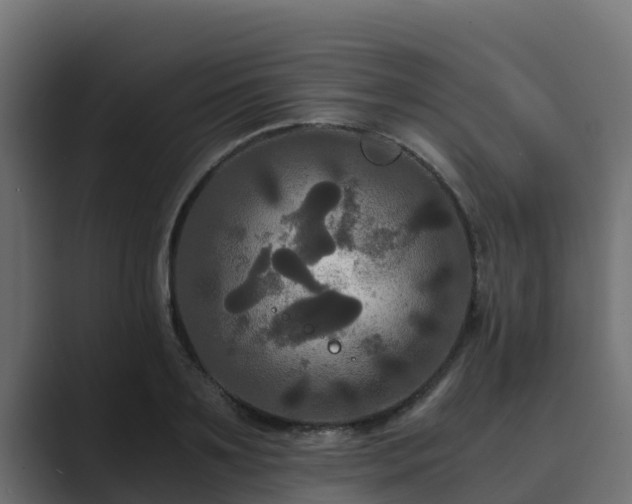 X0000089670891200706281337
