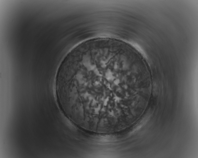 X0000089670895200706281337