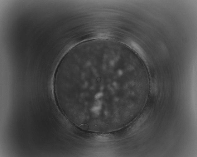 X0000089670899200706281337
