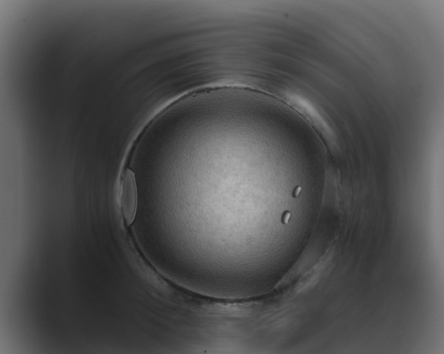 X0000089670900200706281337