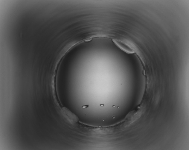 X0000089670906200706281337