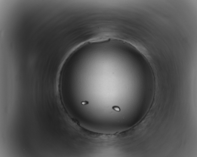 X0000089670912200706281337