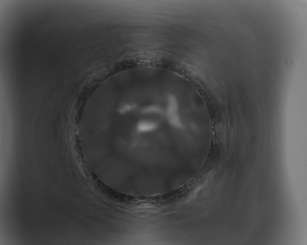 X0000089670913200706281336
