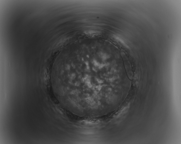 X0000089670917200706281336