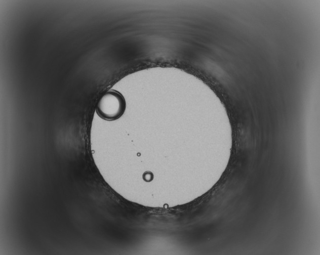 X0000089670918200706281336