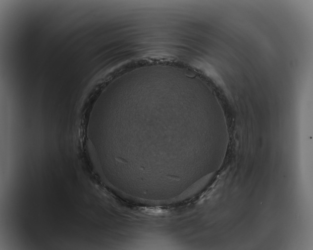 X0000089670920200706281337