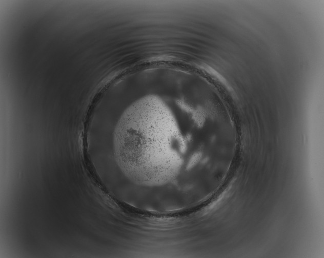 X0000089670921200706281337