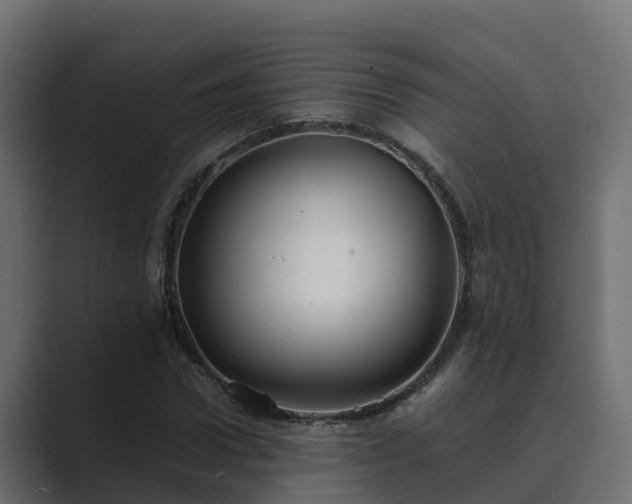X0000089670922200706281337