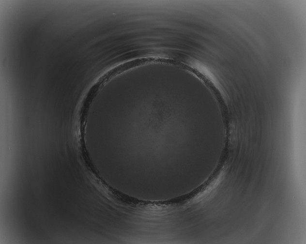 X0000089670923200706281337