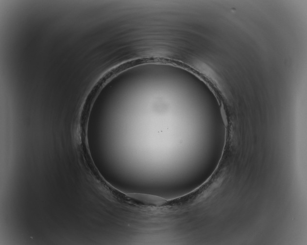 X0000089670924200706281337