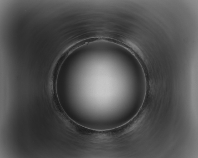 X0000089670931200706281337