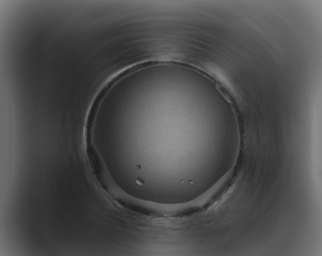 X0000089670932200706281337