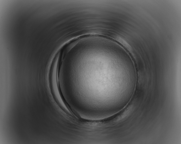 X0000089670939200706281337