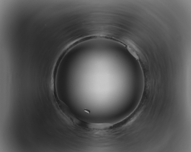 X0000089670940200706281337