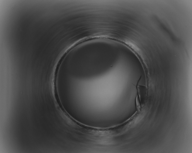 X0000089670941200706281337