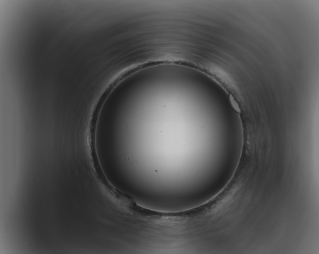 X0000089670942200706281337