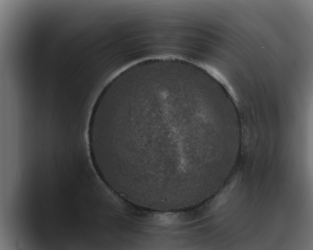 X0000089670943200706281337