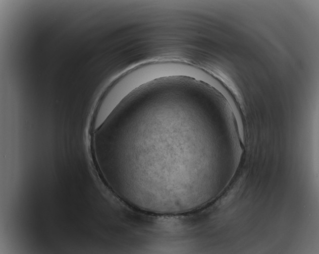 X0000089670944200706281337